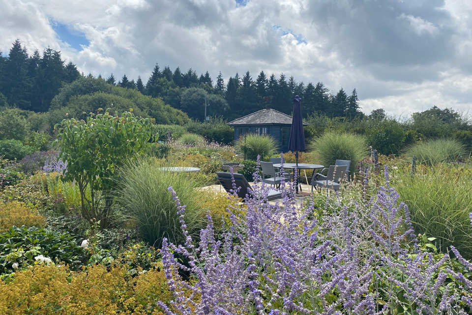 Herbaceous planting. Sussex Garden Design