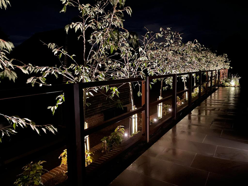 Table top trees in the patio. Plants just arrived