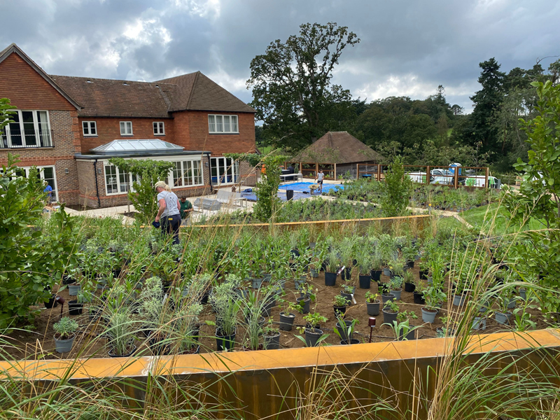 Curved walls with plants set out