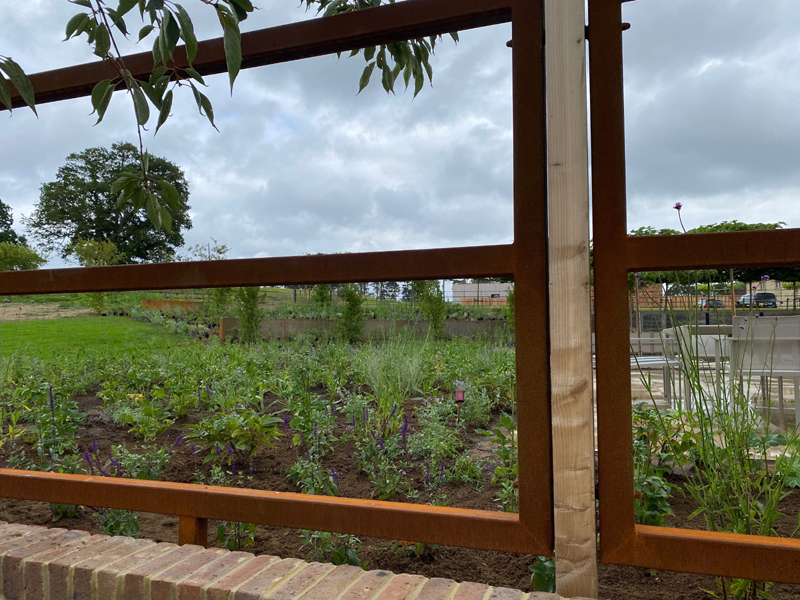 Prunus trees ready to go into brick planters