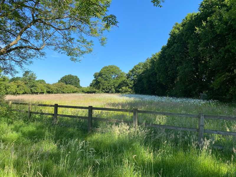 Barns GreenMain Image 16