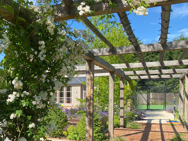 Plants set out - box balls and viburnum