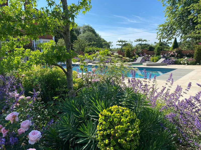 Brick paving with Erigeron daisies