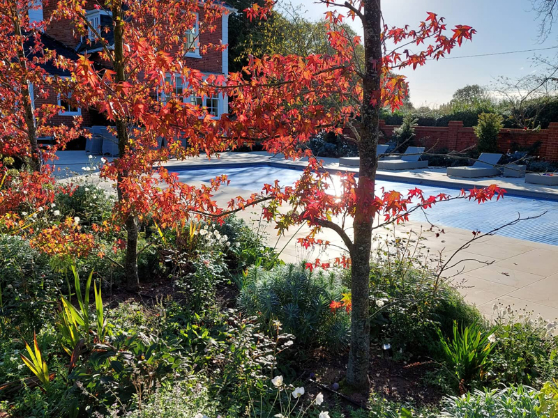 Summerhouse under construction