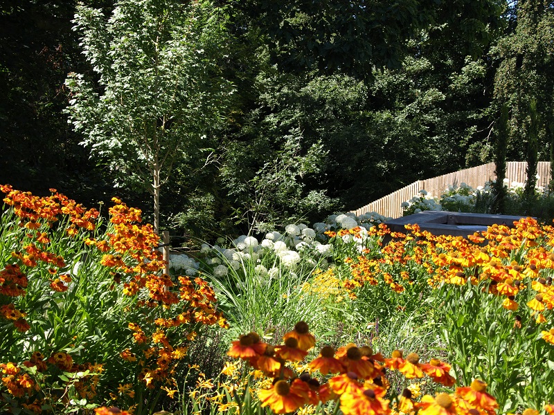 Perennial planting for all year colour