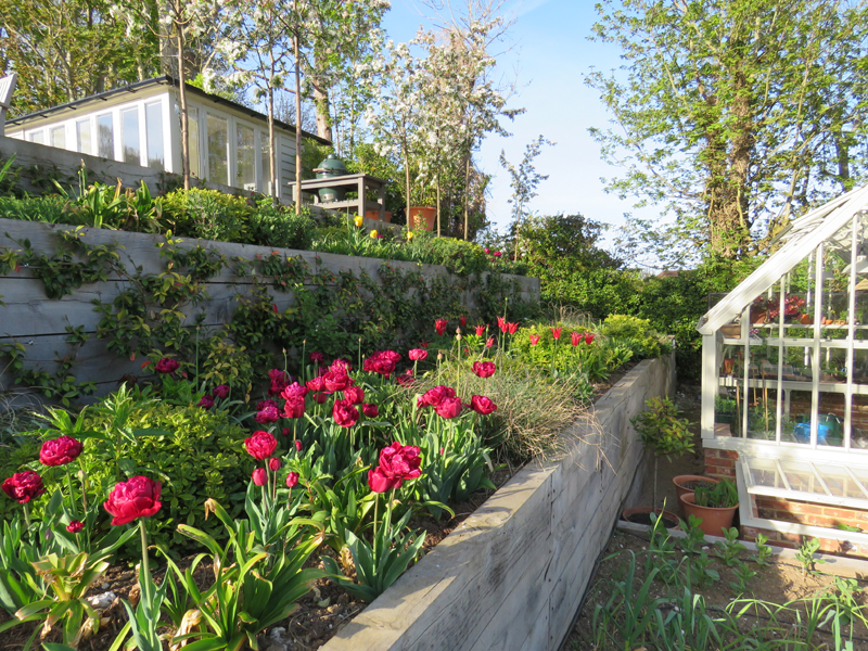 East DeanMain Image 12