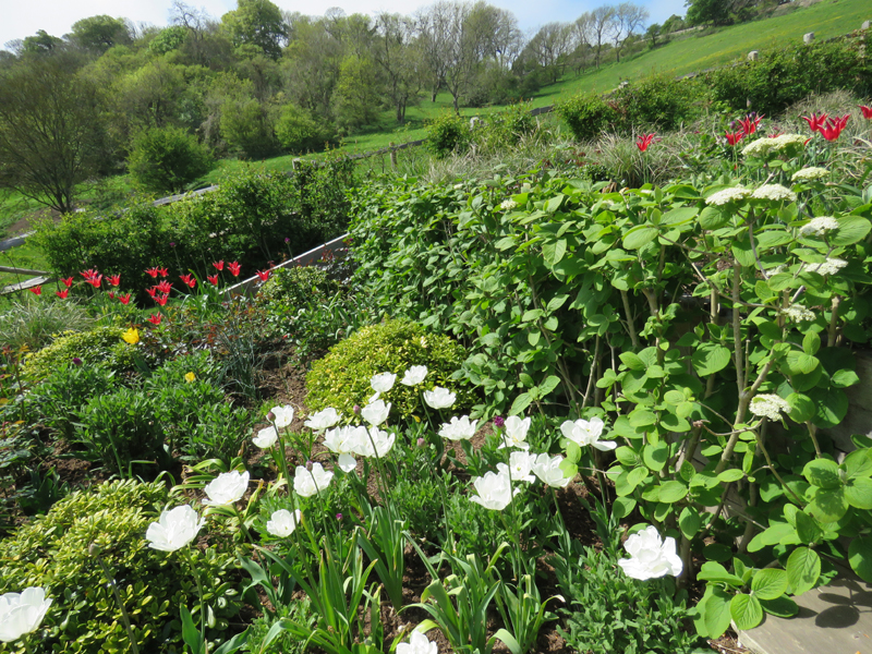 East DeanMain Image 14