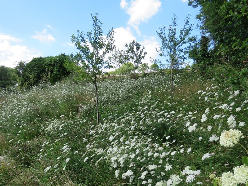 East DeanMain Image 18