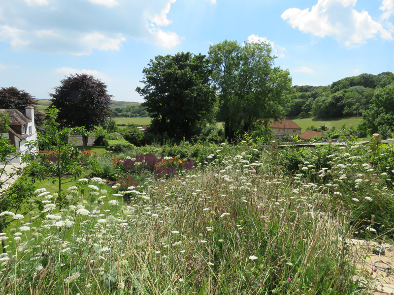 East DeanMain Image 19