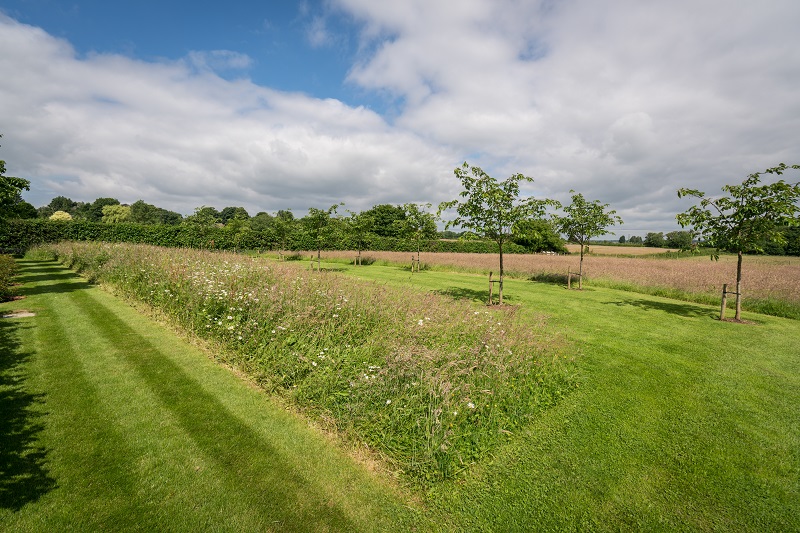 The meadow border and white cherry trees