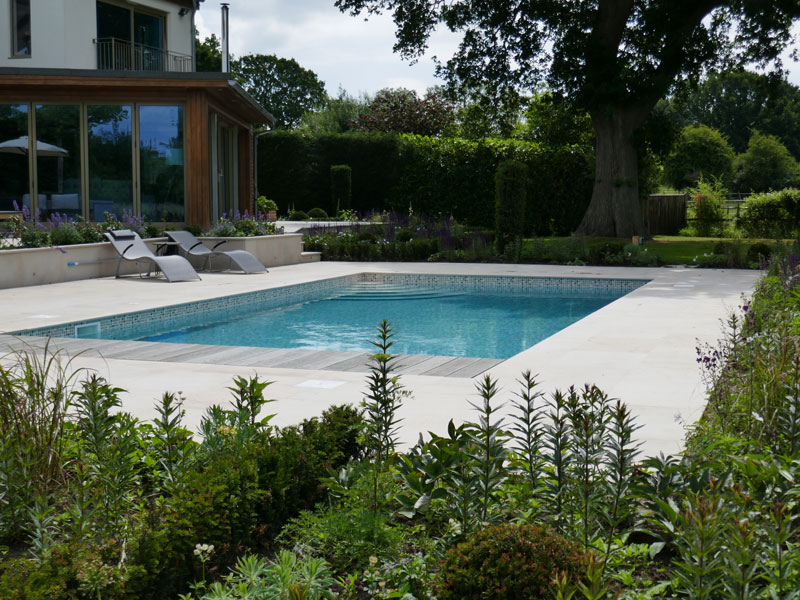 Salvia, Euphorbia, Veronicastrum. Planting design. Swimming pool design.