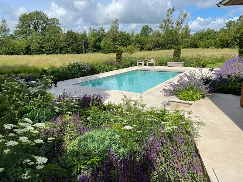 Sawn sandstone. Table top trees. Planting design. Garden design Sussex. Swimming pool. Automatic cover.