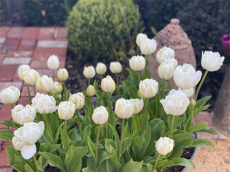 More small spacesMain Image 3