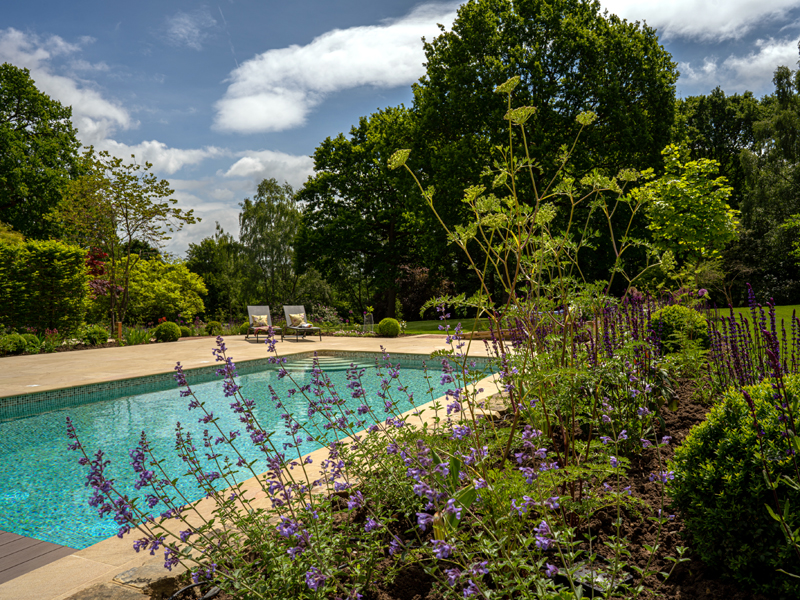 Pool with planting beds