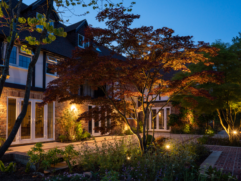 Acer trees lit on the terrace